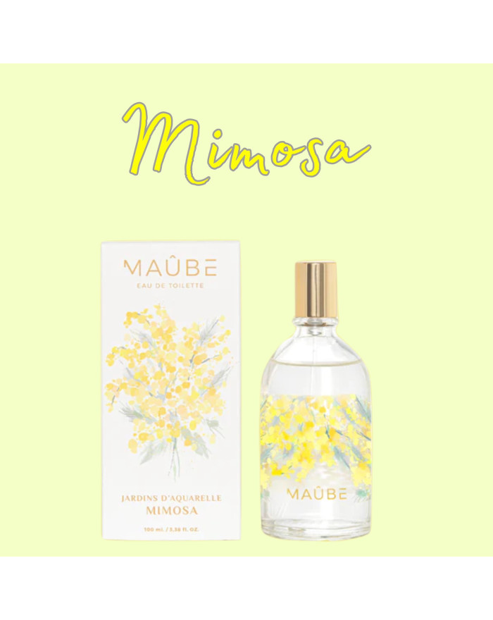 Maube colonia Mimosa